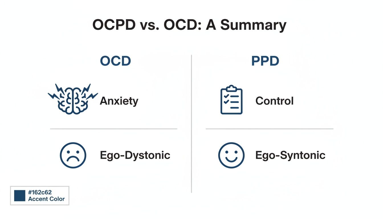 Comparison infographic detailing OCD (anxiety, ego-dystonic) and OCPD (control, ego-syntonic) characteristics.