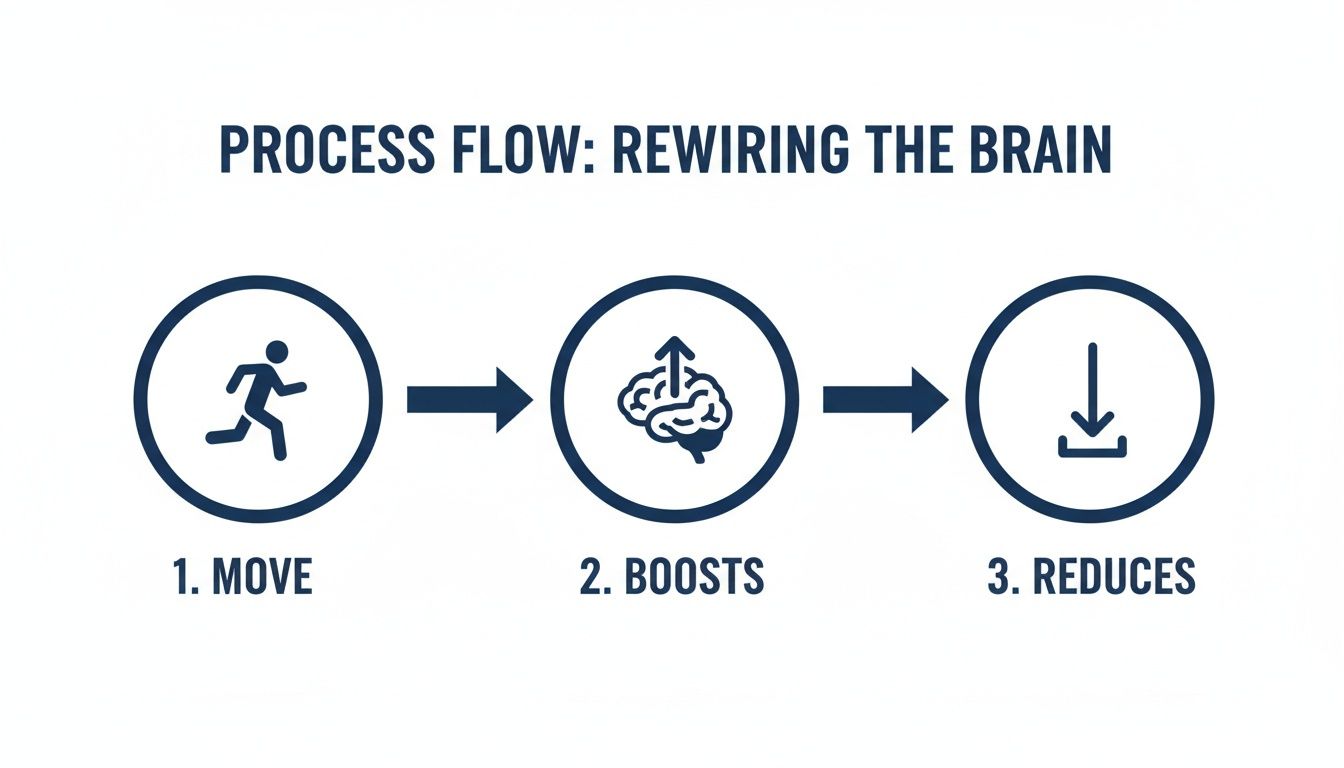Process flow diagram illustrating movement boosts brain function, leading to reduced anxiety.