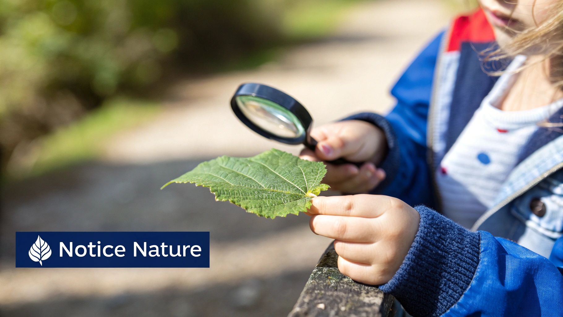 Close-up of a child's hands using a magnifying glass to examine a large green leaf outdoors.