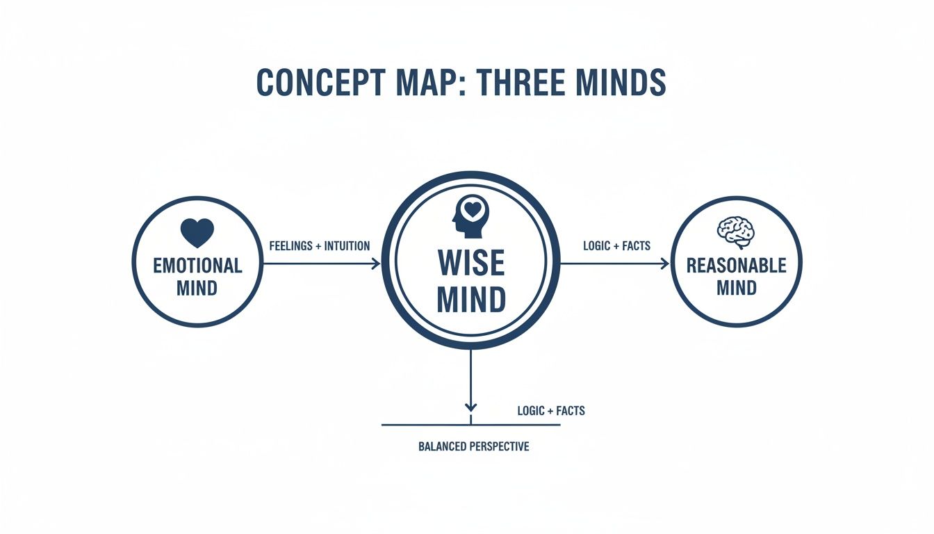 A concept map illustrating the three minds: Emotional, Wise, and Reasonable, and their interactions.