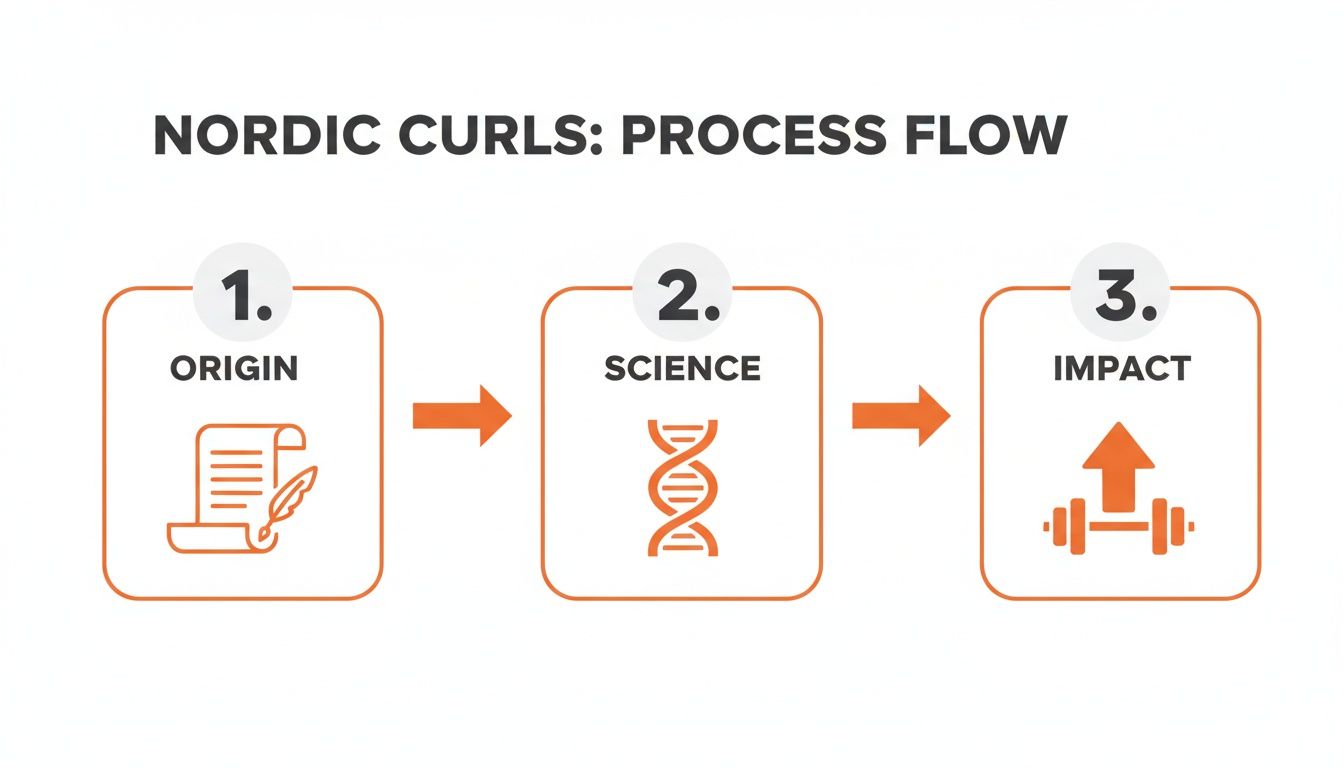 A process flow diagram for Nordic Curls showing three sequential steps: Origin, Science, and Impact.