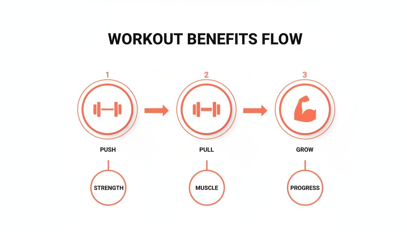 A diagram illustrating the workout benefits flow: push exercises for strength, pull for muscle, leading to overall growth and progress.