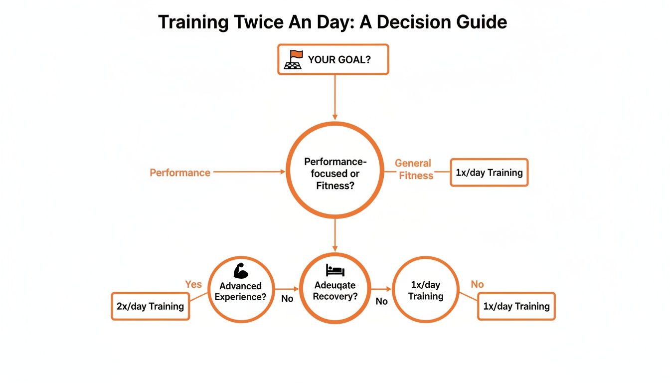 Flowchart guiding daily training frequency based on goals, experience, and recovery, suggesting 1x or 2x daily workouts.