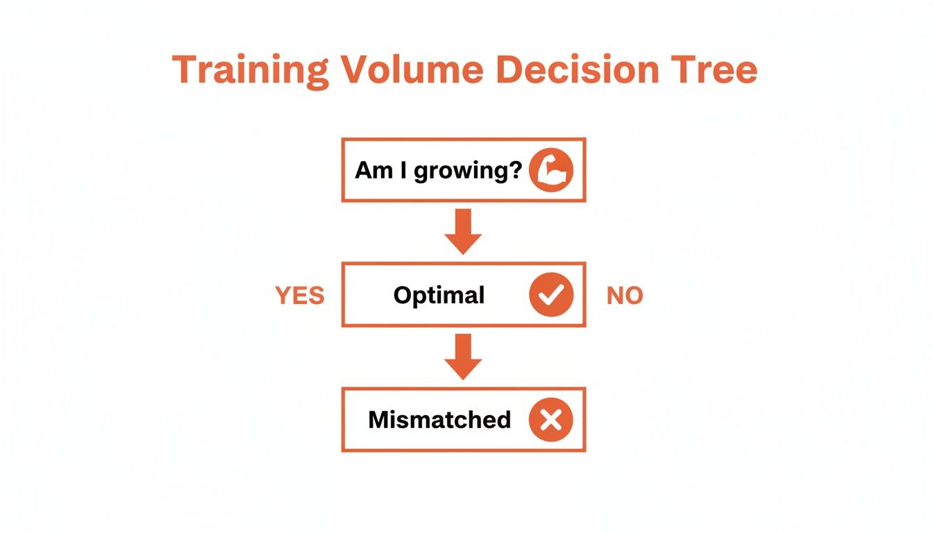 Training Volume Decision Tree flowchart: 'Am I growing?' Yes leads to 'Optimal', No leads to 'Mismatched'.