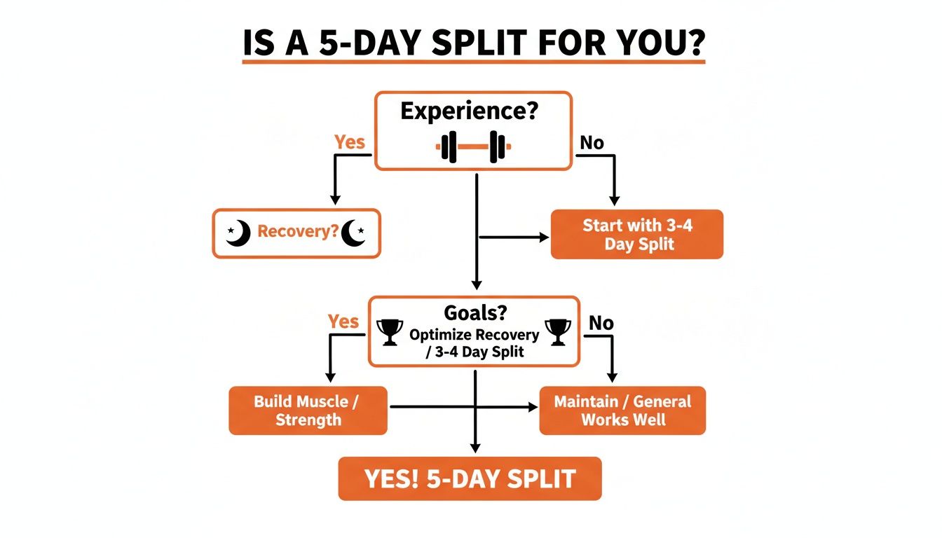 Flowchart determines if a 5-day workout split is suitable based on experience, recovery, and goals.
