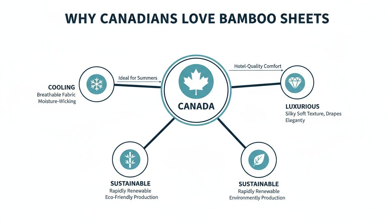 An infographic explaining why Canadians love bamboo sheets, detailing cooling, luxurious, and sustainable benefits.