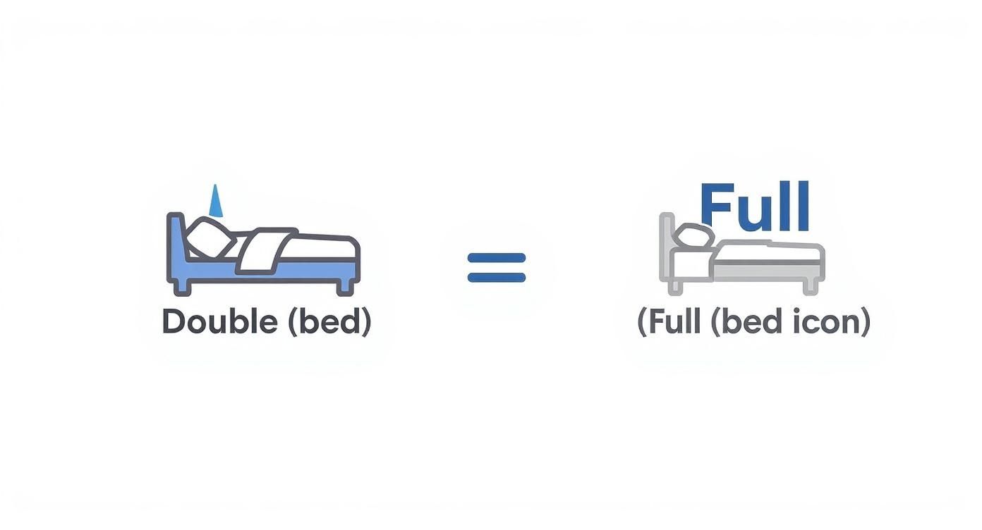Comparison diagram showing double bed equals full bed size with icons and labels