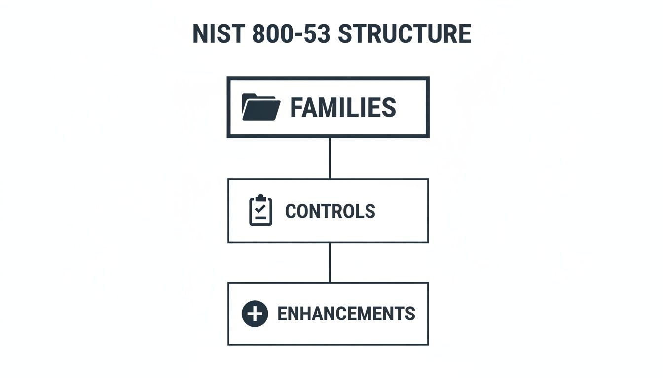 A diagram illustrating the NIST 800-53 structure showing Families, Controls, and Enhancements.