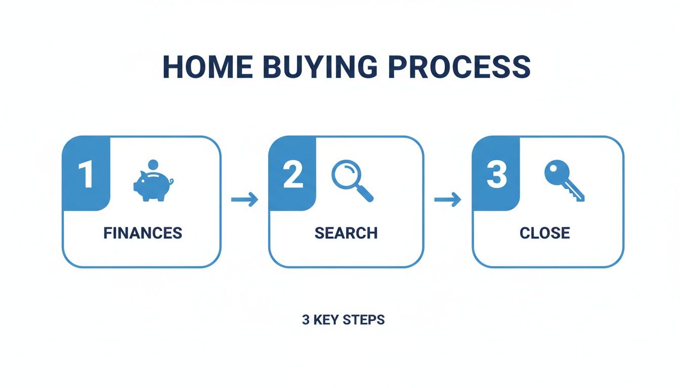 Infographic detailing the three key steps of the home buying process: finances, search, and close.