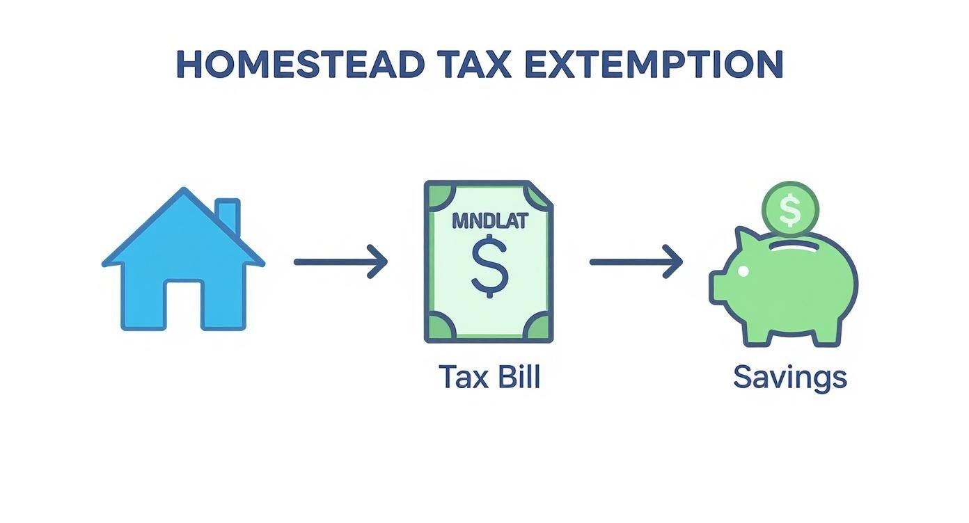 Illustrative diagram explaining homestead tax exemption, showing a house, tax bill, and savings.