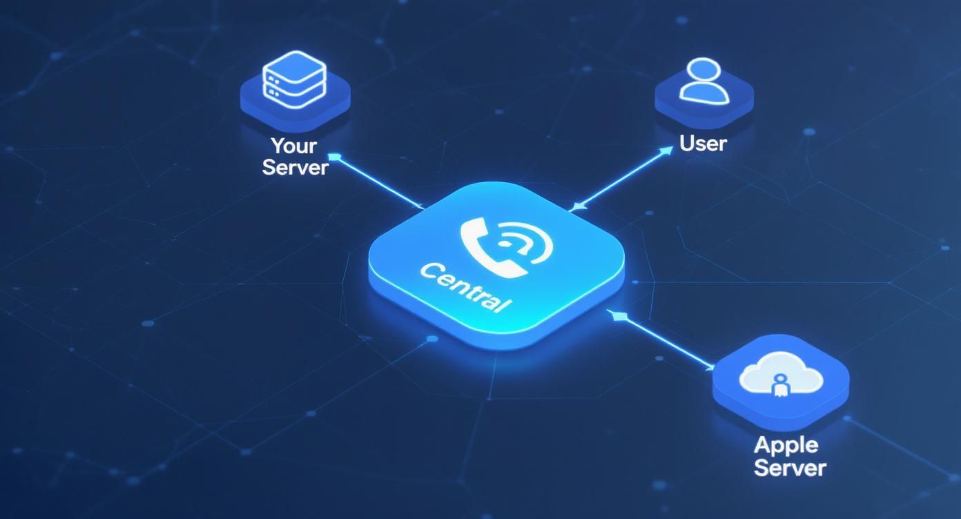 Infographic about ios in app purchasing