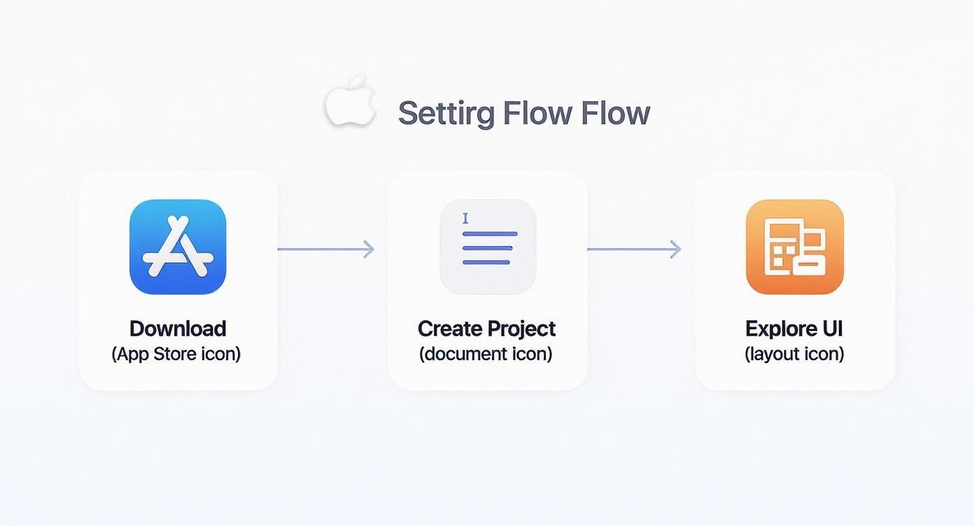 Infographic about ios tutorial swift