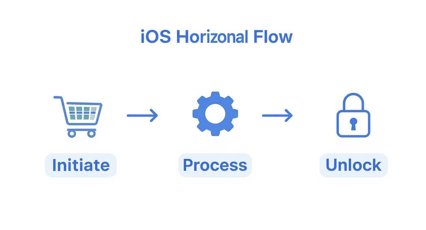 Infographic about purchase in app ios