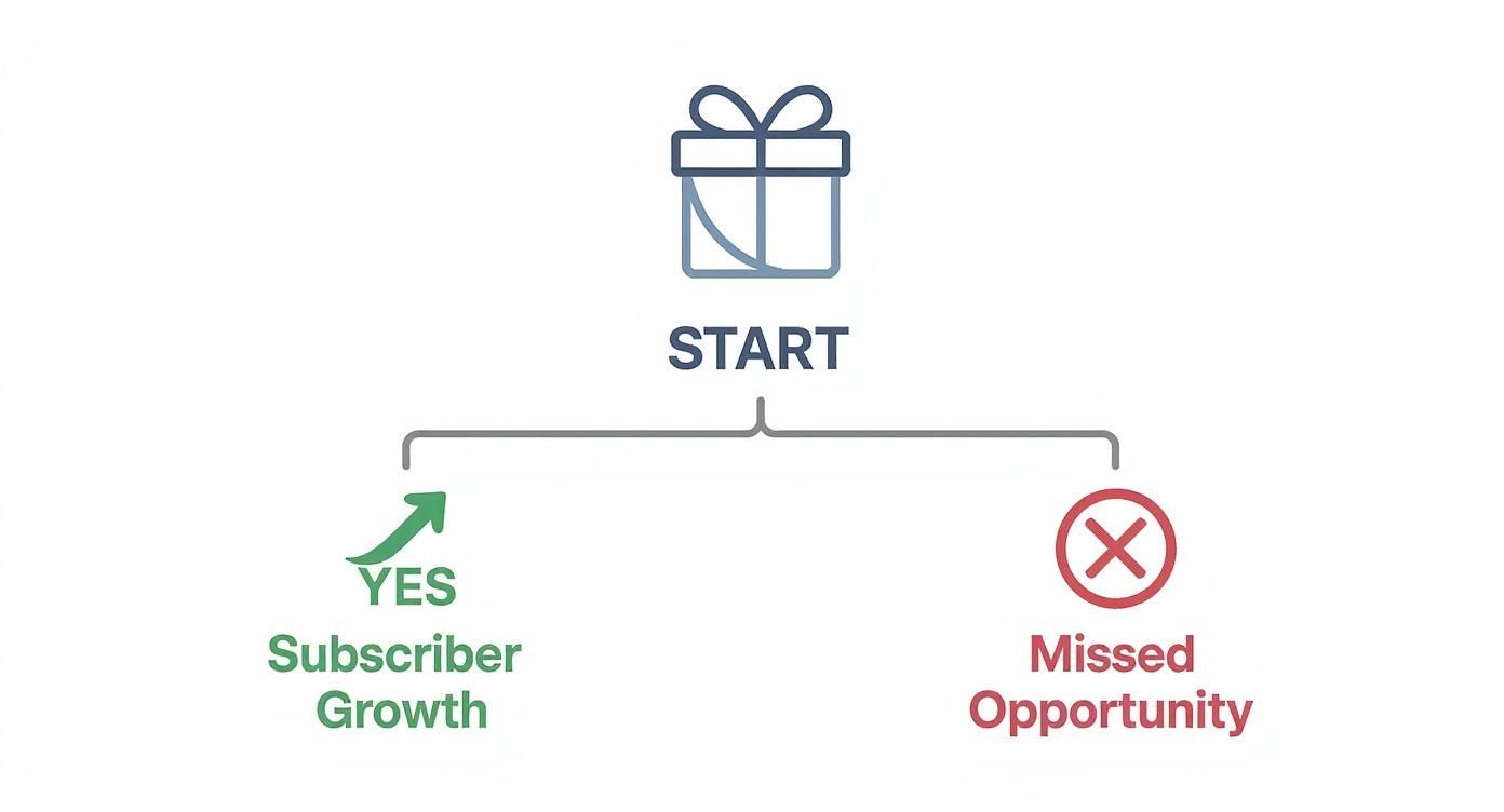 Decision tree diagram illustrating a choice leading to subscriber growth or a missed opportunity.