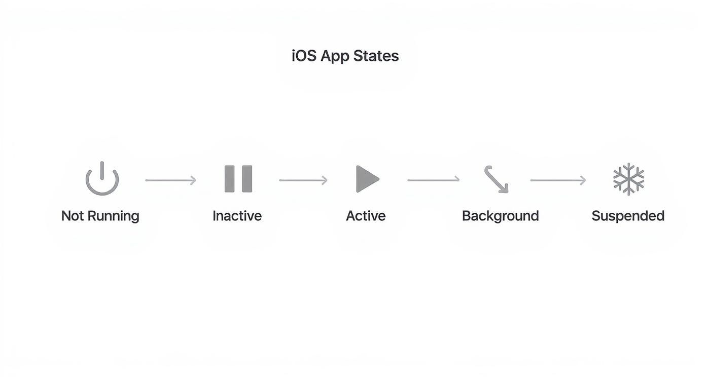 Infographic about application lifecycle ios