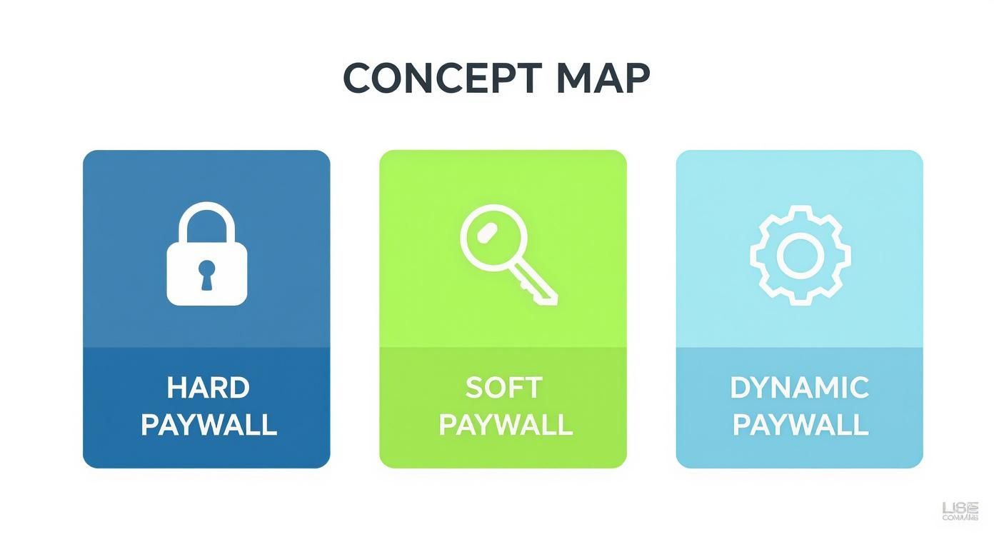 Concept map showing three paywall types: hard paywall with lock, soft paywall with key, dynamic paywall with gear
