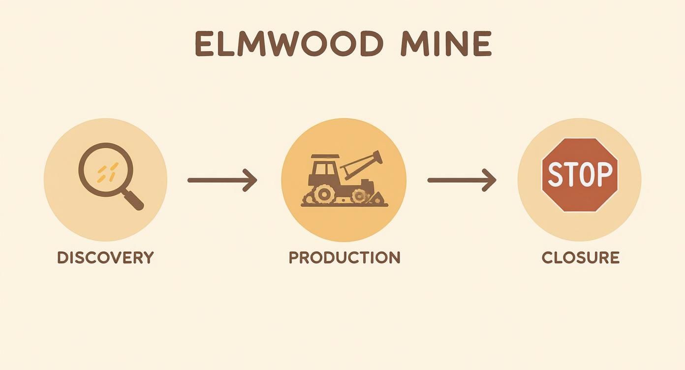 Elmwood Mine lifecycle diagram showing three stages: discovery, production with mining equipment, and closure with stop sign