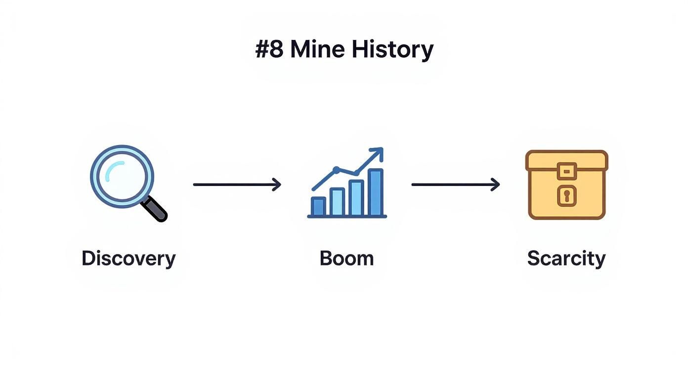A diagram illustrating mine history stages: discovery (magnifying glass), boom (growing chart), and scarcity (locked chest).