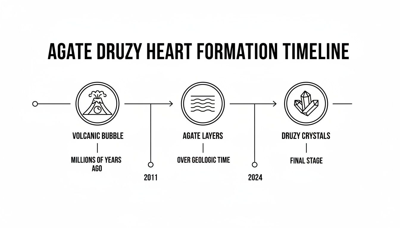 A timeline diagram illustrating the formation of an Agate Druzy Heart, from volcanic bubbles to druzy crystals.