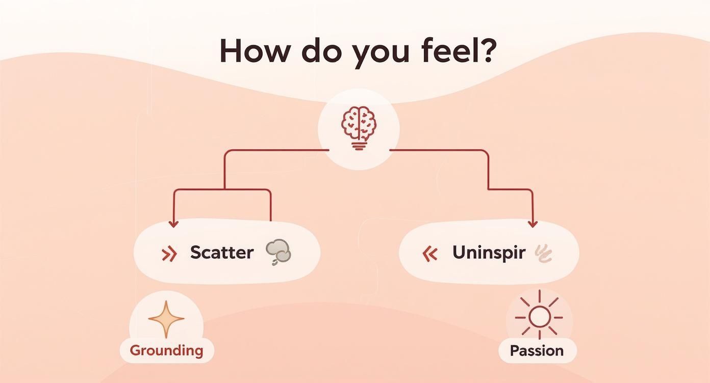 Mental wellness flowchart showing scatter and uninspir options with grounding and passion outcomes illustration
