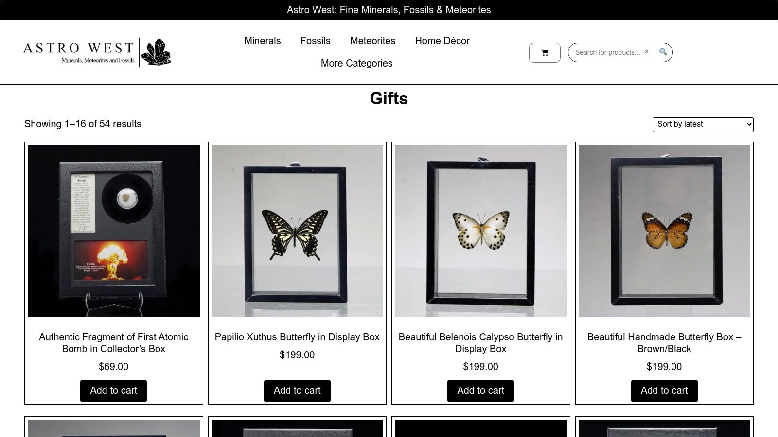 Gifts — Unique Gifts: Fossils, Meteorites, Gemstones & More