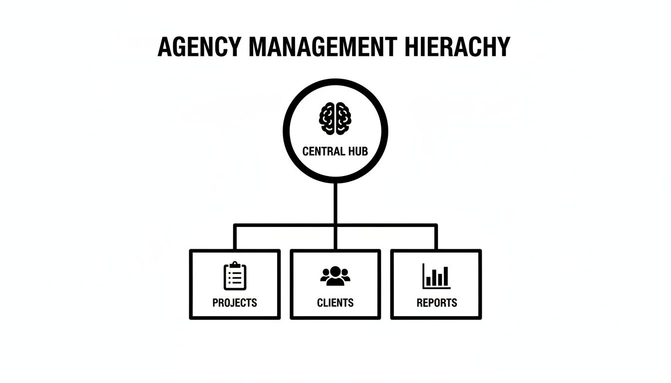 A diagram illustrating agency management hierarchy with a central hub connecting projects, clients, and reports.