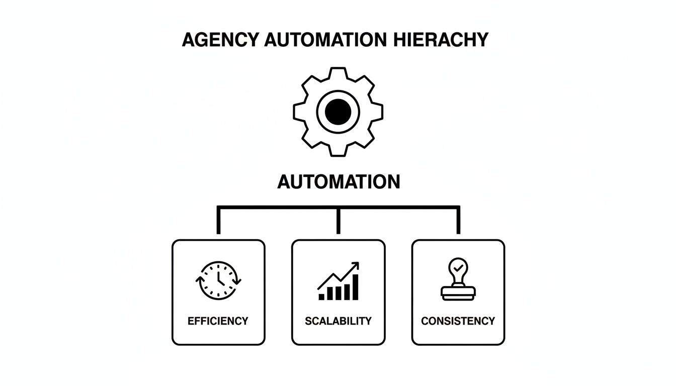A diagram illustrating the Agency Automation Hierarchy, showing Automation leading to Efficiency, Scalability, and Consistency.