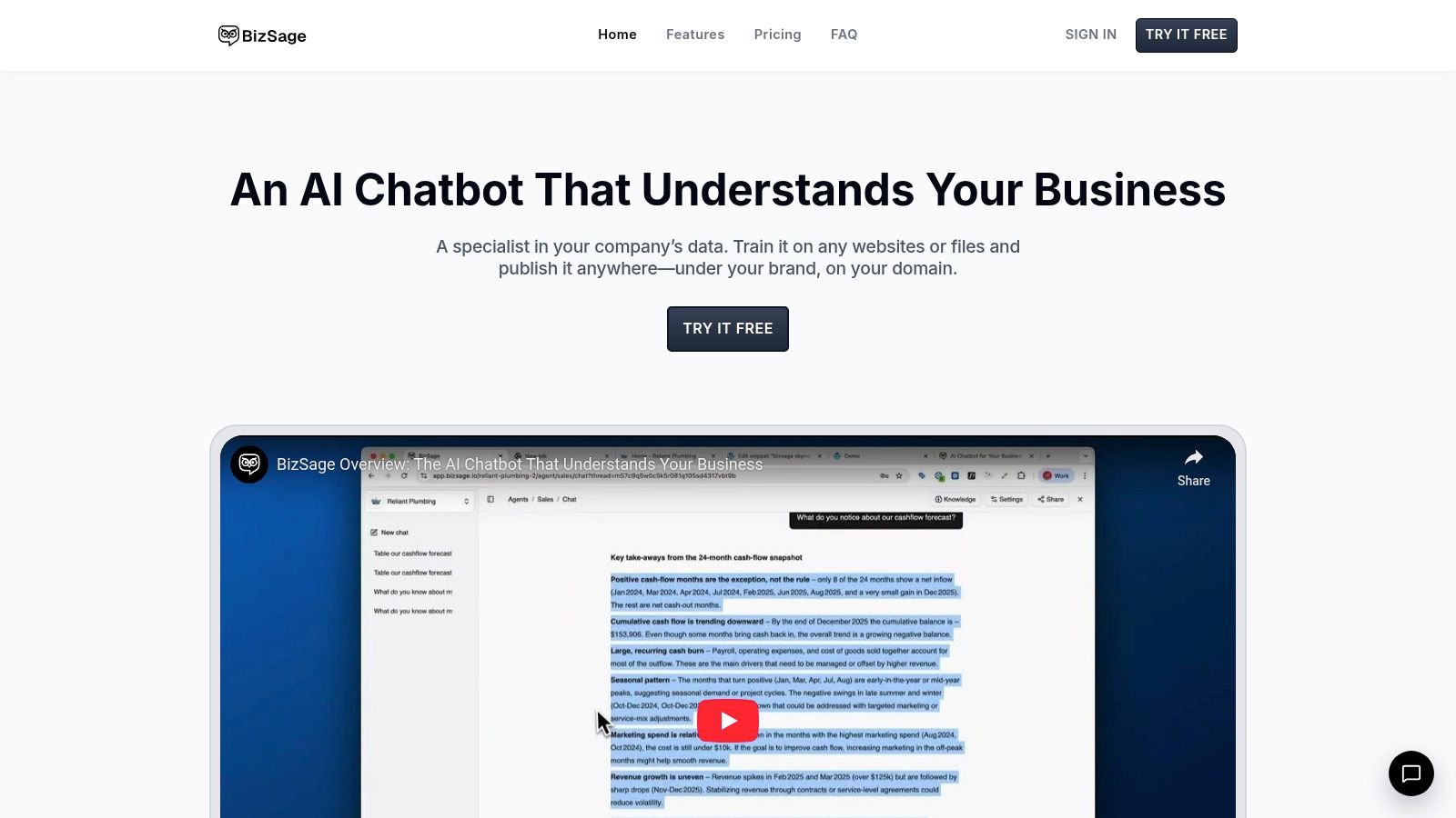 BizSage AI Chatbot Interface