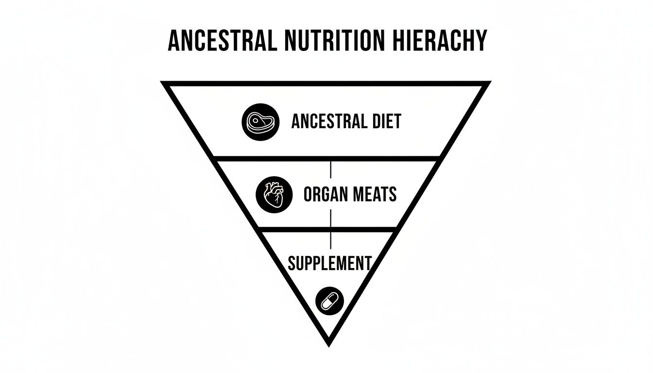 Inverted pyramid illustrating ancestral nutrition: ancestral diet, organ meats, and supplements from top to bottom.