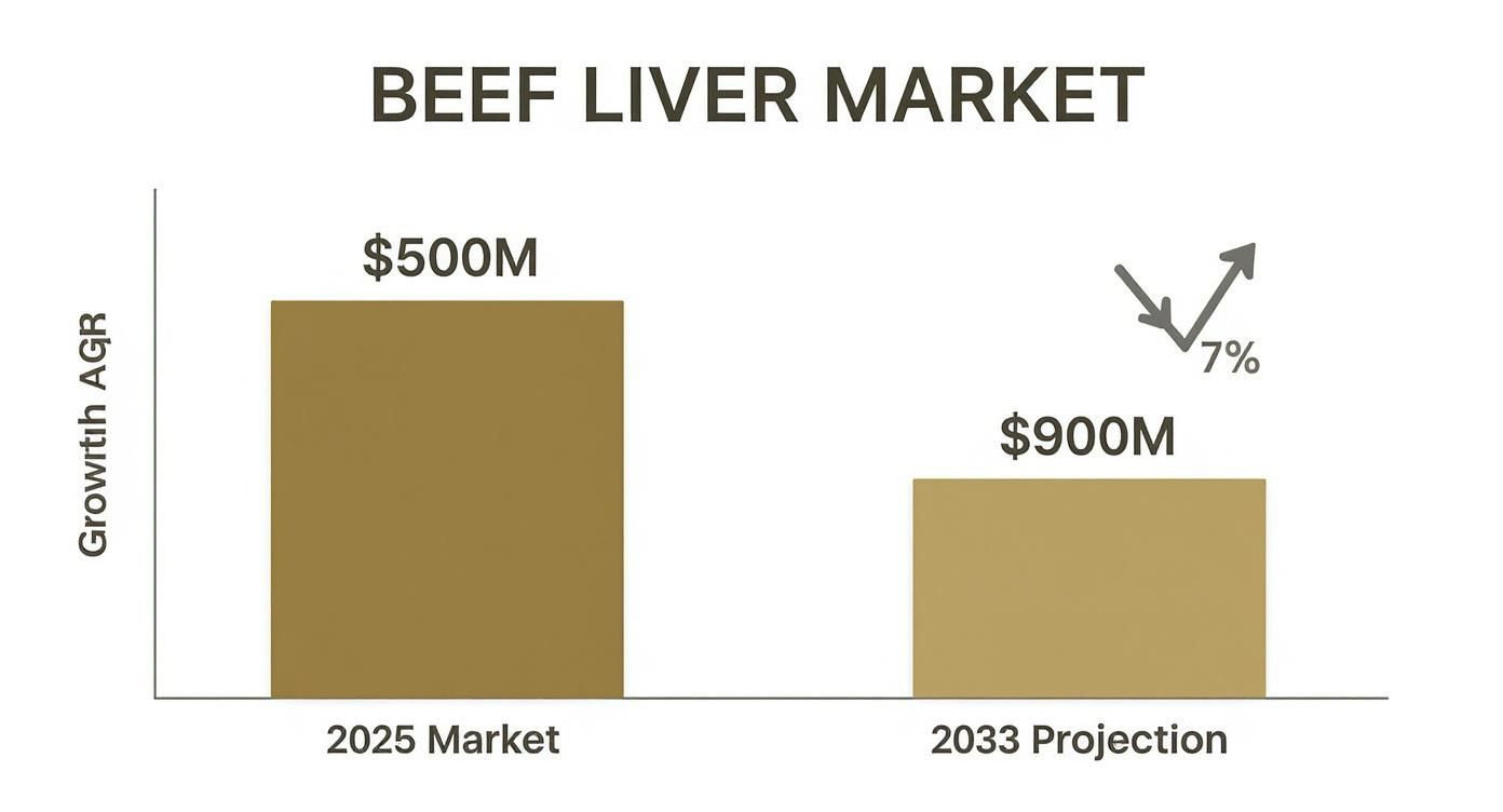 Infographic showing the beef liver supplement market projecting growth from $500M in 2025 to $900M by 2033, with a 7% CAGR.