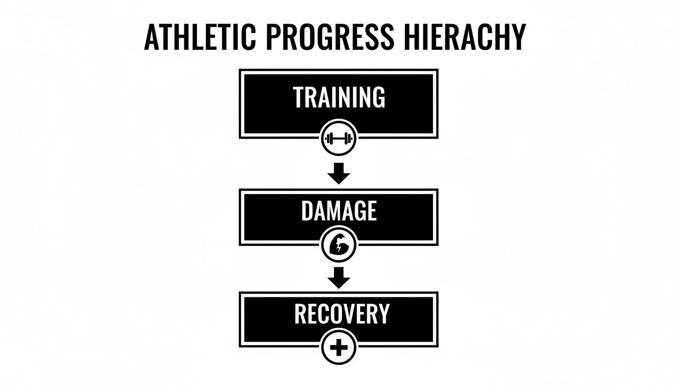 A black and white diagram illustrating the Athletic Progress Hierarchy: Training leads to Damage, which then requires Recovery.