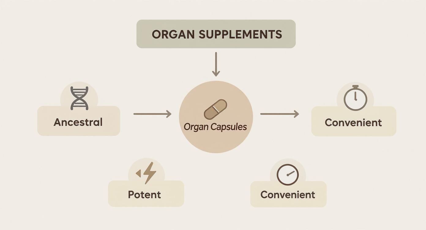 Infographic about organ supplements