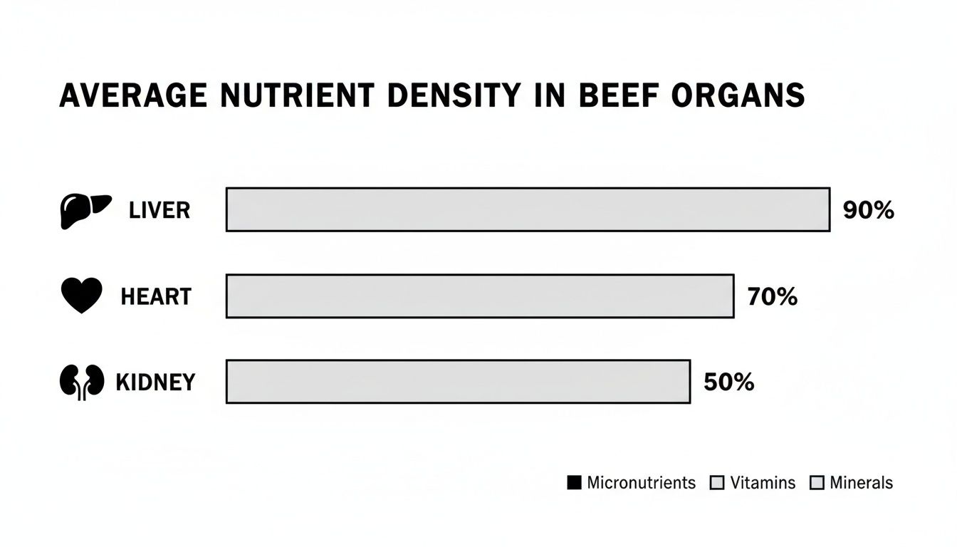 Infographic about beef organ