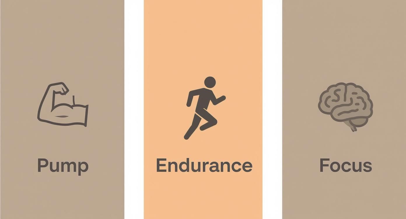 Three panels illustrating workout benefits: Pump (muscle), Endurance (running), and Focus (brain icons).