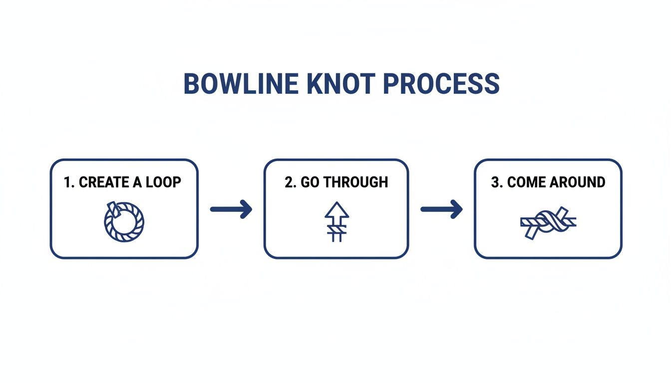 A clear visual guide explaining the three-step process to tie a bowline knot.