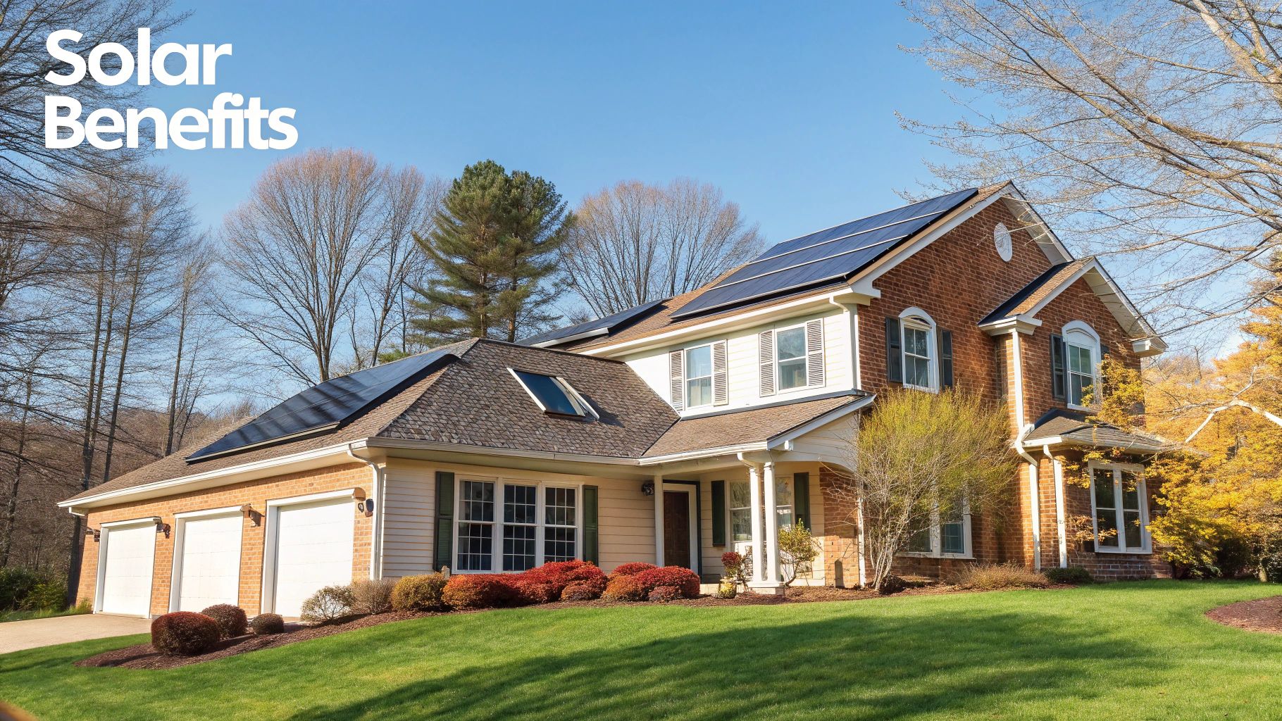Rows of solar panels reflecting a clear blue sky