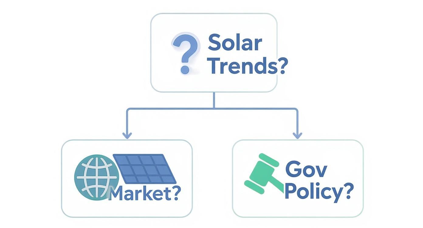 Infographic about lease versus buy solar panels