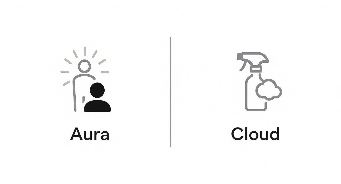 Two icons representing 'Aura' (a person radiating light) and 'Cloud' (a spray bottle with mist).