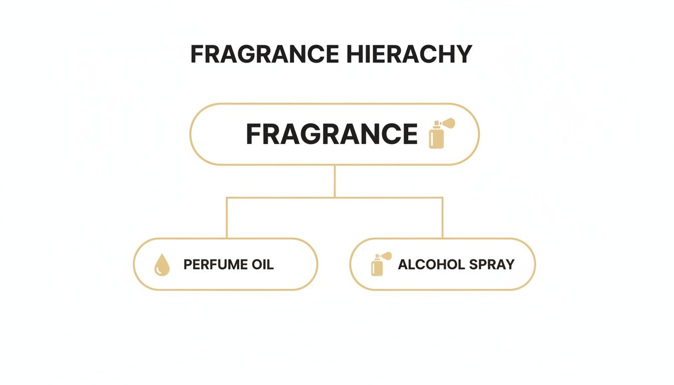 A fragrance hierarchy chart showing 'Fragrance' as the main category, branching into 'Perfume Oil' and 'Alcohol Spray' options.