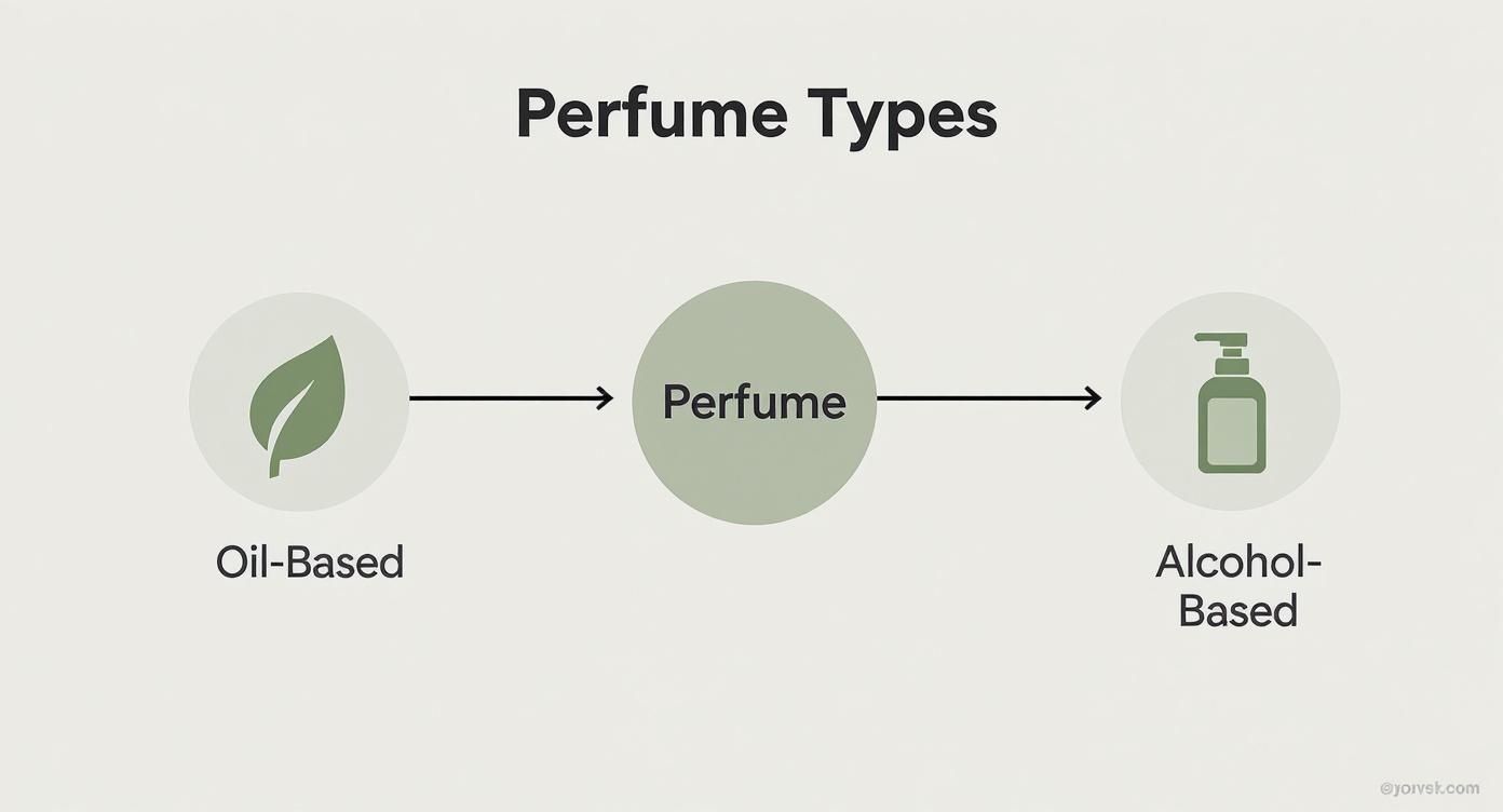 Diagram illustrating two main perfume types: oil-based (represented by a leaf) and alcohol-based (represented by a pump bottle).