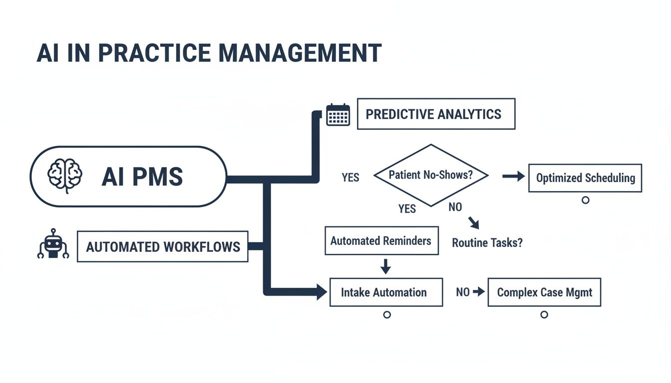 Flowchart illustrating AI in practice management: predictive analytics for no-shows, optimized scheduling, automated reminders, intake, and complex case management.