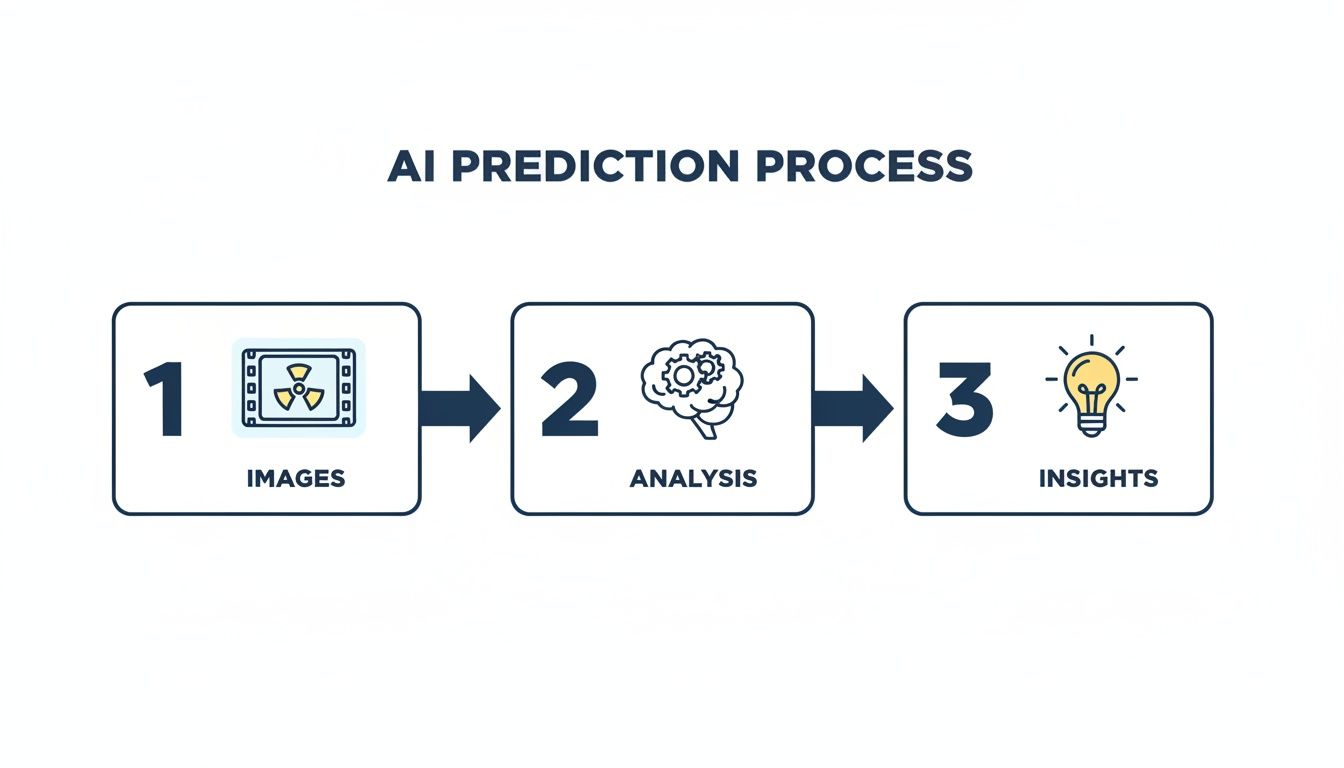 Flowchart illustrating the AI prediction process from input images, through analysis, to generated insights.