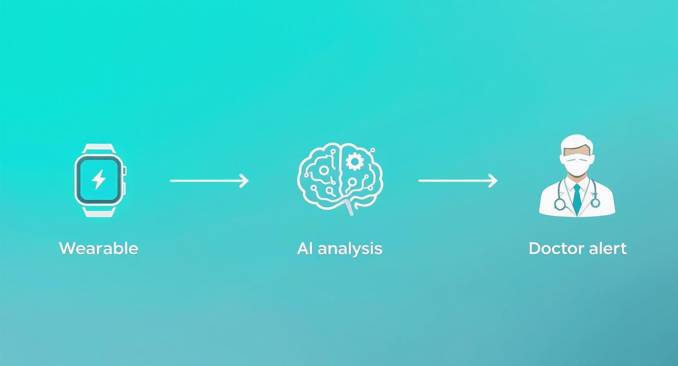 Infographic about software engineering in healthcare