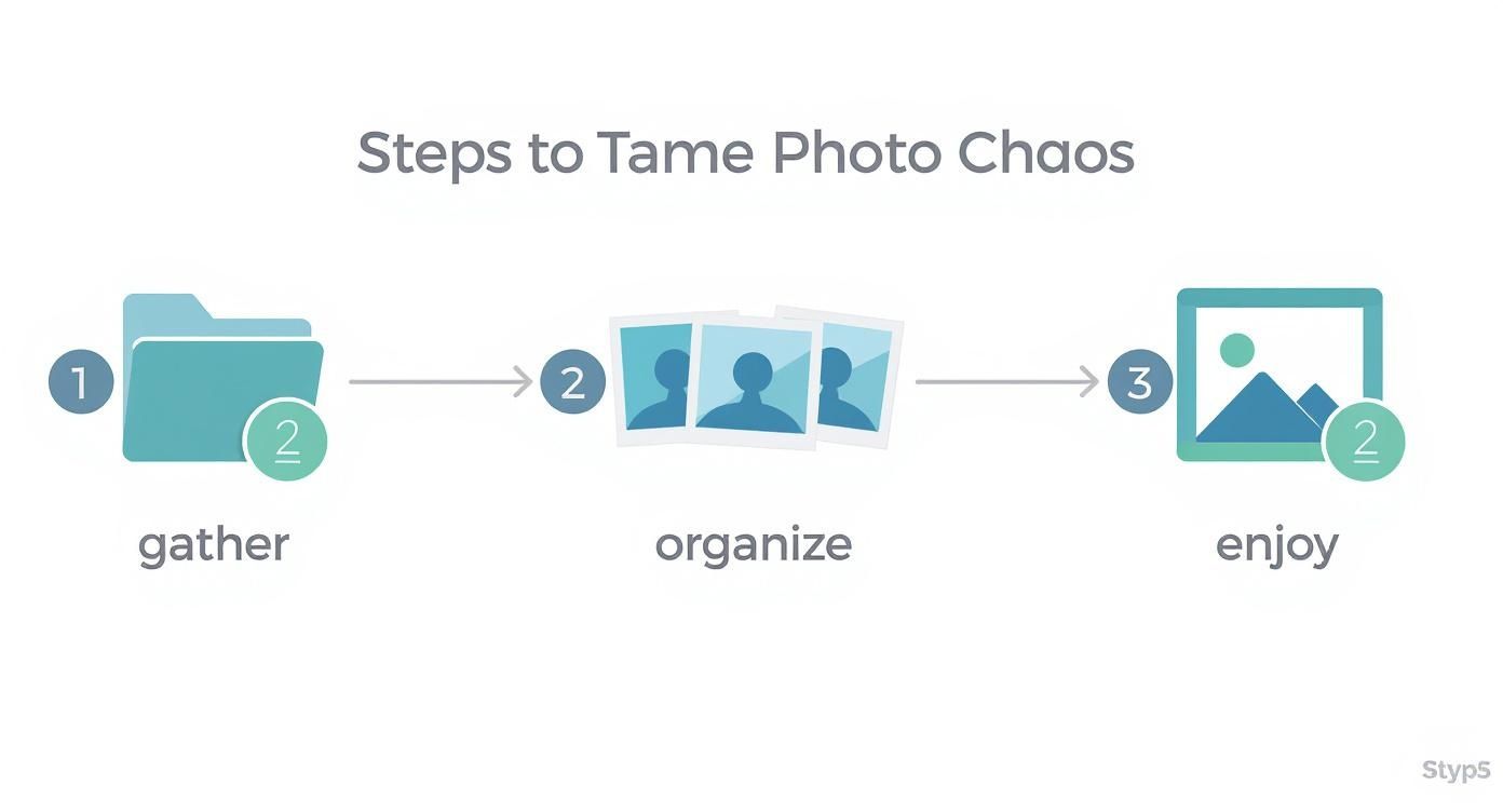 Infographic about how to organize digital photos