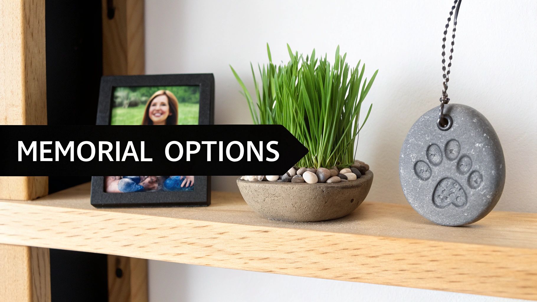 A peaceful garden setting with a small memorial stone for a pet.