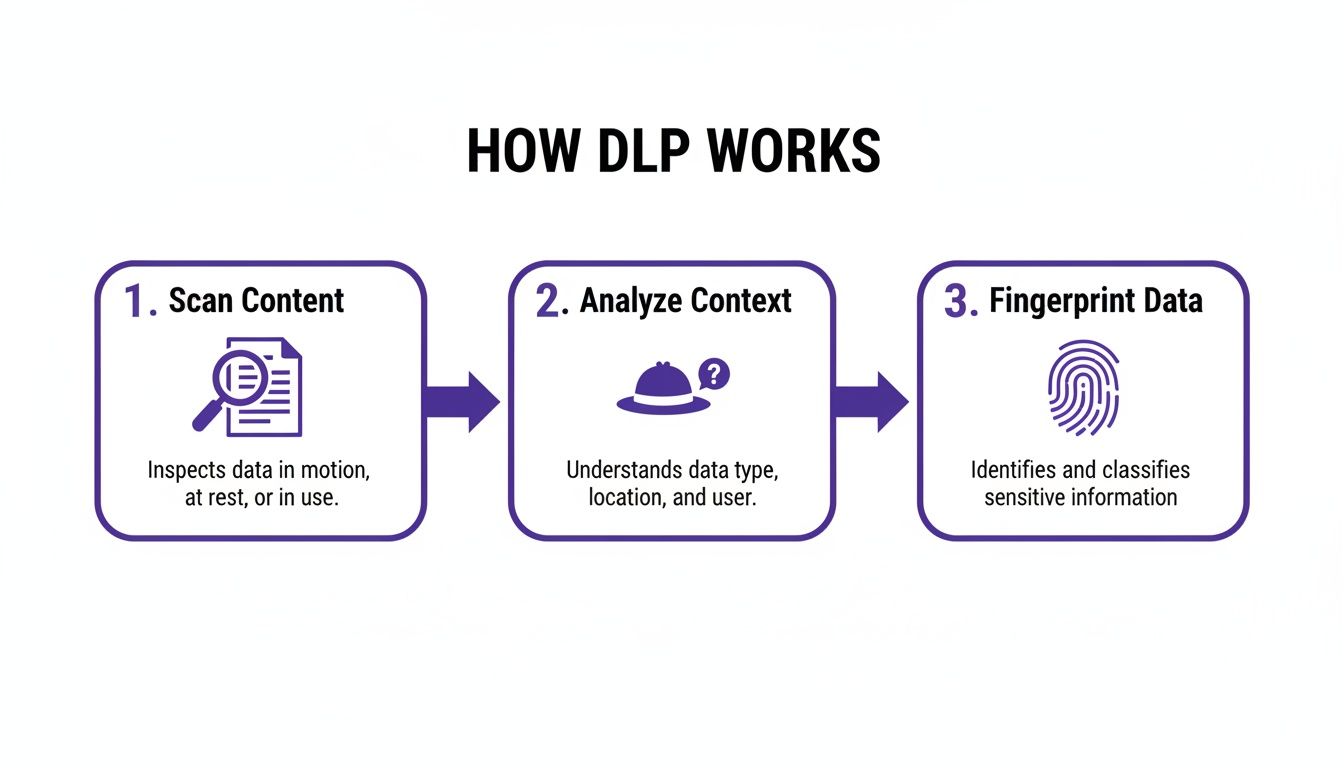 Diagram illustrating how Data Loss Prevention (DLP) works in three steps: scan, analyze, and fingerprint.