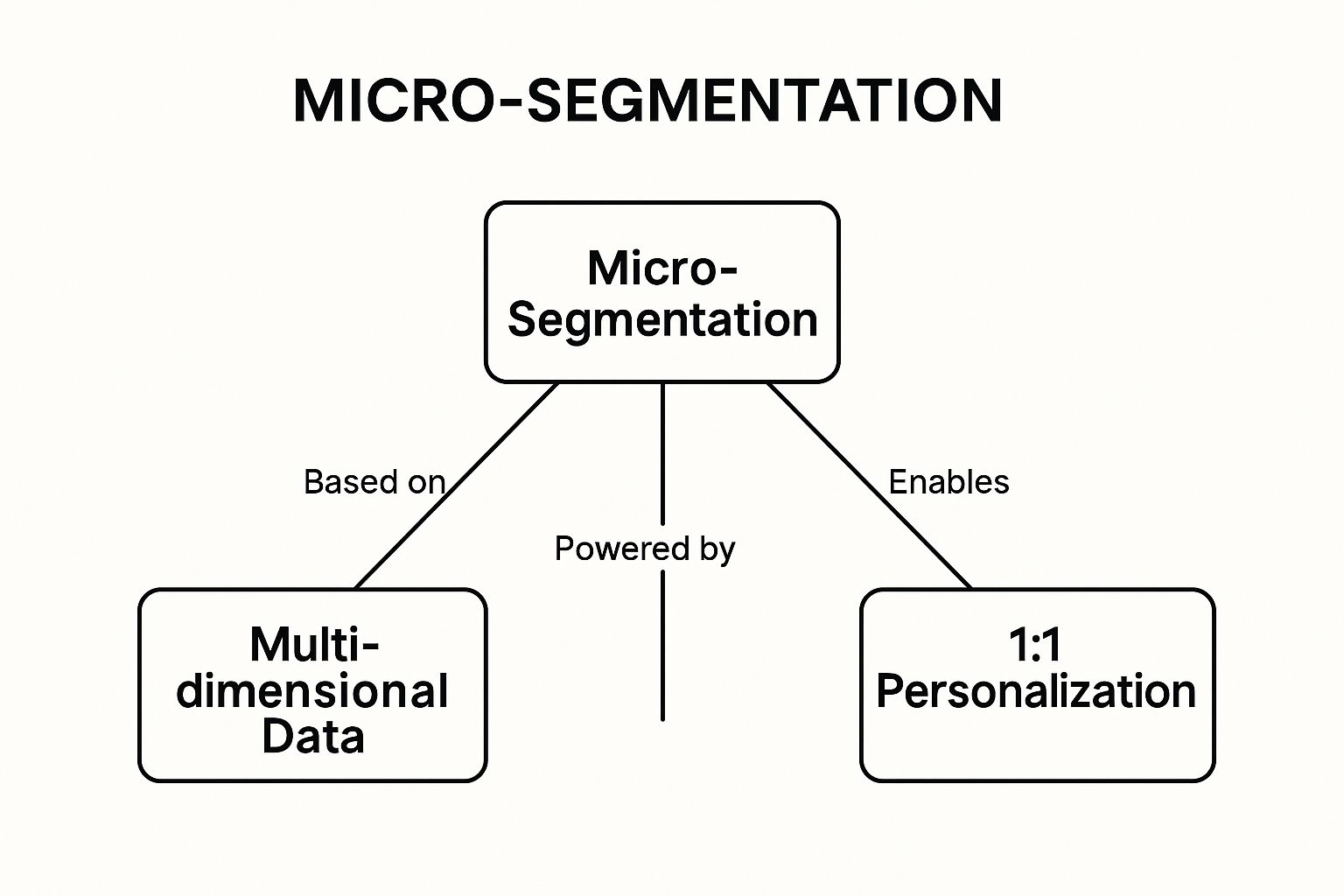 Infographic showing a concept map of Micro-Segmentation connected to Multi-dimensional Data, AI/ML Algorithms, and 1:1 Personalization