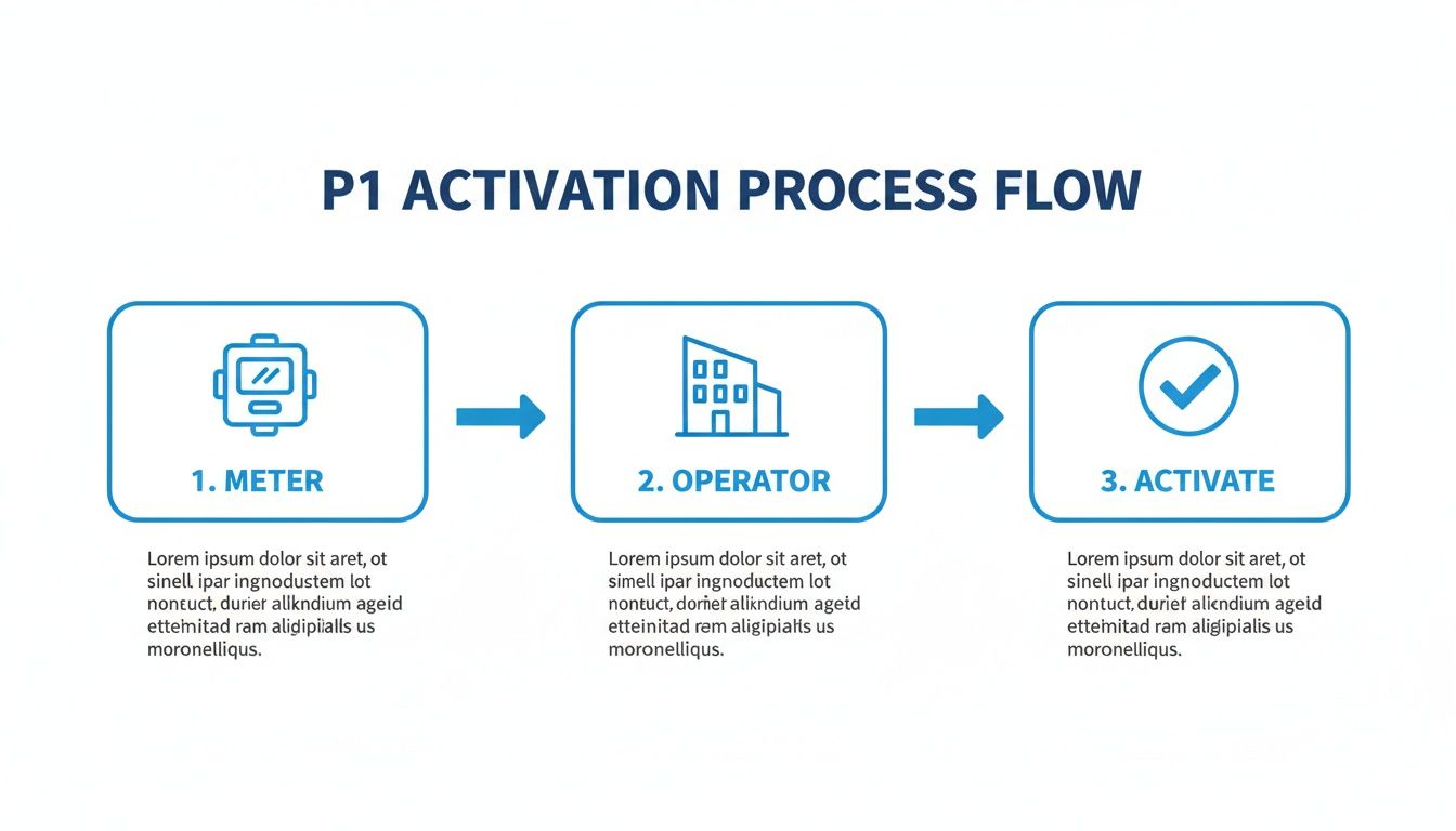 A blue flow chart illustrating the P1 activation process with three steps: Meter, Operator, and Activate.