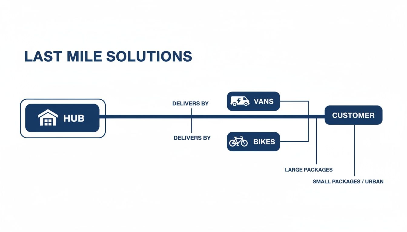 Diagram illustrating last mile delivery solutions from a hub to customer using vans for large and bikes for small packages.