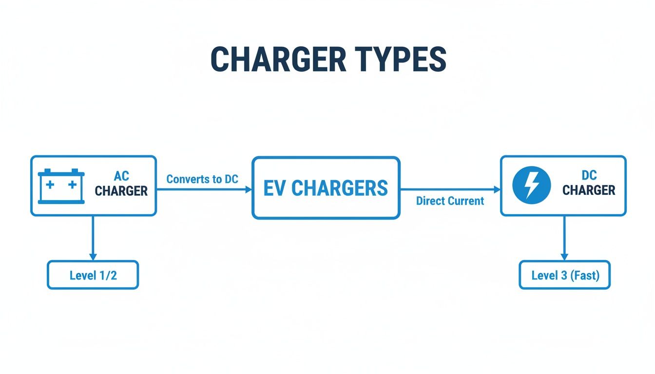 Stroomdiagram dat de types laadpalen voor elektrische voertuigen illustreert, met AC-laders (Niveau 1/2) en DC-laders (Niveau 3 snelladen).